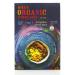 Sri Lankan Curry Sauce ORGANIC. VEGAN. DAIRY FREE. FOR A QUICK AND EASY MEAL. | 1 x 8.8 oz pouch Sri Lankan Curry Single