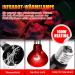 Neptonion 100W Infrared Heat Lamp for Reptiles | UVA Basking Spot Lamp for Snakes Chameleons Geckos & More - Buy Online on SooperMarket.com
