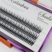 Scala Handmade Luxury Mink False Lashes - 16mm 5D Volume Fans Individual Eyelash Extensions - Buy Online on SooperMarket.com