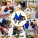 Buy Ovtexzog Dog Care Hammock Harness - Nail Claw Cutting Tool for Small Dogs (Up to 6kg) - Blue - International Shipping Available - Buy Online on SooperMarket.com