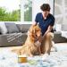 ZOOP Dog Wipes - Natural Whole-Body Odor Eliminator for Dogs & Cats | Fragrance-Free | 60 Count - Buy Online on SooperMarket.com