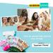 Epielle Character Sheet Masks - Dalmatian, Zebra, Cat, Shark, Narwhal, Mermaid | Pack of 12 Animal Spa Masks for All Skin Types | Korean Beauty Mask for Kids' Birthday Party, Spa Day, Girls Night - Buy Online on SooperMarket.com
