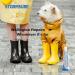 Stormsure Wellington Boot Repair Kit Accelerated - Industry Wellie glue Sole Repair Heel Repair Boot Repair - PU Adhesive Waterproof Permanent Durable Flexible Transparent with Accelerator - Buy Online on SooperMarket.com