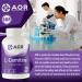 AOR - L-Carnitine 500mg 120 Capsules Pure L-Carnitine Tartrate Supports Energy Metabolism Muscle Recovery & Athletic Performance Promotes Fitness Goals L-Carnitine Capsules for Active Lifestyle - Buy Online on SooperMarket.com