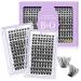 Lash Clusters 208 PCS Cluster Lashes Individual Lashes B02 Eyelash Extensions 8-16mm DIY Lash Extensions D Curl Volume Wispy Soft Comfortable Band False Lashes (D-8-16MIX B02+B02) Lash Kit B02+B02 1 count (Pack of 1)