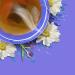 Tazo Dream Herbal Tea - 20 Tea Bags (1.41 oz) | Soothing & Relaxing Blend - Buy Online on SooperMarket.com