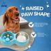 Double Slow Feeder Dog Bowl | Raised Non-Slip Stainless Steel Cat Food & Water Bowl | Detachable Blue Cat Bowl - Buy Online on SooperMarket.com