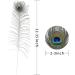 Soarer Long Peacock Feathers Bulk - 25pcs 32-35 inches for Vase, Holiday Decoration & DIY Crafts - Buy Online on SooperMarket.com