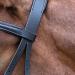 WALDHAUSEN Star Bridle Bitless Black for Warmbloods - Premium Quality Equestrian Gear International Shipping Available - Buy Online on SooperMarket.com