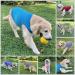 Dog Shirts Cotton Striped T-Shirts  Breathable Basic Vest for Puppy and Cat  Super Soft Stretchable Doggy Tee Tank Top Sleeveless  Fashion & Cute Color for Boys and Girls (M  Pink+Green) Medium Pink+Green - Buy Online on SooperMarket.com