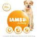 IAMS Complete Dry Dog Food for Adult 1+ Large Breeds with Lamb 12 kg Lamb 12 kg (Pack of 1) - Buy Online on SooperMarket.com
