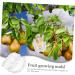 BCOATH Forming Vegetable Tool Clear Gardener Ginseng for Decorative Watermelon Transparent - Buy Online on SooperMarket.com