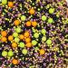 Twist Ingredients - Pearls Mix - Halloween - Cake Topper Sprinkles - 1kg Edible Shimmer Ball Cupcake Decorations - Perfect for Spooky Weddings Christenings & Parties - Buy Online on SooperMarket.com