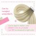 Shop Youngsee Real Hair Extensions - Tape Ombre Ash Blond to Platinum Blonde | 45cm 20pcs 50g #18/60 - Premium Quality Tape-In Hair Extensions - Buy Online on SooperMarket.com