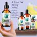 Shop Bella Terra Oils Premium Borage Seed Oil - High GLA for Luxurious Skin Radiance | 1 Gallon & Pack of 10 - International Shipping Available - Buy Online on SooperMarket.com