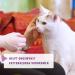 Feliway 066096 - Classic Pheromone Diffuser Refill 48 ml Cat Stress Reducing - Buy Online on SooperMarket.com