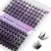 Individual Lashes 0.07mm Cluster Lashes D Curl 12-16mm Mixed Long Individual Eyelashes Cluster DIY Lash Extensions Reusable Soft and Wispy Cluster Eyelash Extensions(ZW24A/SN01-D-MIX12-16) RR-12-16mm ZW24A+SN01-0.07D