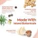 Hanalei Lip Treatment Bundle - Clear & Mauve Pink | Infused with Kukui Oil, Shea Butter, Agave & Grapeseed Oil for Dry Lips (Cruelty-Free & Paraben-Free) - Buy Online on SooperMarket.com
