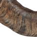 Buy TX-27743 Buffalo Chewing Horn Large - Natural Dog Chew | 1 Piece Pack - Durable & Healthy Treat - Buy Online on SooperMarket.com