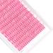 Bodermincer D Curl Cluster Eyelashes - 240pcs 20D in Red Blue Black Brown Purple | 16mm False Eyelash Extensions - International Shipping Available - Buy Online on SooperMarket.com