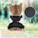 Comfortable Cat Dishes with Leash - Breathable Air Mesh Fits Neck 28-35 cm & Chest 45-51 cm - Easy On/Off - Black S - Buy Online on SooperMarket.com
