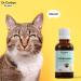 Dr Corbyn Pets Echinacea Drops 50ml | Immunity Support for Dogs & Cats | Natural Echinacea Supplement - Buy Online on SooperMarket.com