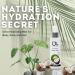 Ola Tropical Apothecary Coconut Scented Deep Sea Mist - 2 Fl Oz Coconut 2 Fl Oz (Pack of 1) - Buy Online on SooperMarket.com