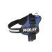 K9 Powerharness Size: L/1 Indigo L/1 Indigo