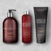 Baylis & Harding Black Pepper & Ginseng 16.9 oz Hand Wash (Pack of 3) - Men's Luxury Hygiene Set - Buy Online on SooperMarket.com