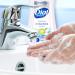 Dial Complete Antibacterial Foaming Hand Wash Refill, Soothing White Tea - 32 fl oz - Buy Online on SooperMarket.com