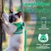 Supet Cat Dishes & Soft Vest for Kittens & Chihuahuas - Lime Green | International Shipping - Buy Online on SooperMarket.com
