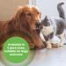 Protexin pet health Pro-Kolin for Dogs and Cats Probiotic Paste and Syringe 60 ml (Pack of 1) 60 ml (Pack of 1) Single Single - Buy Online on SooperMarket.com
