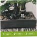 Mipcase 2pcs Pet Water Feeder Ants Nest Water Feeder Ants Nest Water Feeding Area Ants Water Feeder Plastic - Buy Online on SooperMarket.com