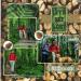 Reminisce Scandinavian Woodland Scrapbook Collection Kit - Multi Color Palette - Buy Online on SooperMarket.com