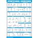 Palace Learning 3-Pack: Dumbbell Exercise Poster Resistance Bands Workouts & Stretching Tables - Laminated 18x24 - Ideal for Home Fitness & International Shipping - Buy Online on SooperMarket.com
