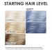 KERACOLOR Kit of 3-in-1 (Cleanse + Conditioner + Color) Silver Blue Semi-Permanent Hair Dye and Finishing Hair Spray 10oz - Buy Online on SooperMarket.com