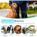 Weesiber Medium Blue Soft Dog Collar - Adjustable Padded Halter with Reflective Strips for Safe Training & Walking - No Pull Design - Buy Online on SooperMarket.com