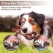 LUKITO Indestructible Dog Chew Toy - Real Beef - Aggressive Chewers - Large Dogs - Brown - Buy Online on SooperMarket.com