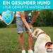 Dog is K nig Training Treat Feed Bag for Dogs | Compact Functional Quick Rewards + Feces Bag Dispenser & Training Book - International Shipping Available - Buy Online on SooperMarket.com