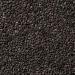 6 oz Spiced Black Sesame Seeds - Whole Raw Sesame Seeds for Toasting, Baking, Cooking, Garnishing - Buy Online on SooperMarket.com
