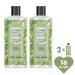 Love Beauty And Planet Tea Tree & Vetiver Body Wash 16 oz (Pack of 2) - Buy Online on SooperMarket.com