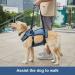 COODEO Dog Lifting Harness - Adjustable Breathable Support for Rehabilitation | Ideal for Old & Disabled Pets - Blue - International Shipping - Buy Online on SooperMarket.com