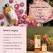 Cocoon Rose Micellar Water | Organic Hydrating Makeup Remover for Dry & Normal Skin | 4.73 fl oz - Shop Now - Buy Online on SooperMarket.com