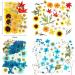 Dried Pressed Flower Leaves Set with Tweezers - 110 Assorted Natural Daisy Flowers for DIY Crafts & Decorations - Buy Online on SooperMarket.com