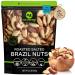 Brazil Nuts Roasted & Salted - No Shell Whole (32oz - 2 LB) Bulk Nuts Packed Fresh in Resealable Bag - Healthy Protein Food Snack All Natural Keto Friendly Vegan Kosher