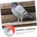 Balacoo 300 Pcs Homing Pigeon Identification Ring Tools Private Pigeons Marker Bird Distinguish Tool Birds 1.1x0.8cm x3pcs Colorfulx3pcs - Buy Online on SooperMarket.com