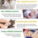 Natural Antibiotics for Cats Cat Antibiotics- Cat Multivitamin is anti-bacterial effect antibiotics for cats Supports Immune & Cats Allergy Relief Health Supplies Cats UTI Antibiotics(60ml) - Buy Online on SooperMarket.com