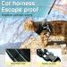 AOKCATS Escape Proof Cat Harness and Leash Set - Reflective Strips, Adjustable Comfort - Small Cat, Kitten - Black, Medium - Buy Online on SooperMarket.com