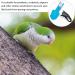 VILLCASE Parrot Flight Suit Diaper with Leash | Cockatiel & Pigeon Flying Clothes - International Shipping Available - Buy Online on SooperMarket.com