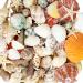WEOXPR Mixed Sea Shells, 100+ Pcs Beach Seashells Starfish, Various Sizes Ocean Seashells for Fish Tank Vase Fillers, Beach Theme Party Wedding Decor, Candle Making, DIY Crafts, Home Decorations